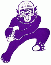 Northwestern Wildcats 1959-1967 Primary Logo heat sticker
