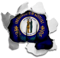 Fist Kentucky State Flag Logo custom vinyl decal