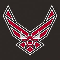 Airforce Chicago Bulls Logo custom vinyl decal