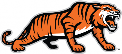 RIT Tigers 2004-Pres Alternate Logo 05 heat sticker