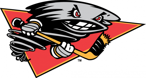 Cincinnati Cyclones 2001 02-2013 14 Alternate Logo heat sticker