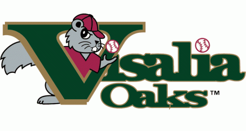 Visalia Rawhide 1995-2008 Primary Logo heat sticker