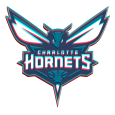 Phantom Charlotte Hornets logo heat sticker