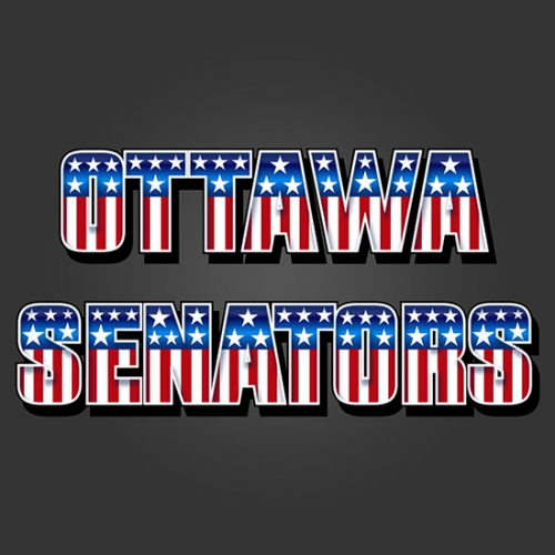 Ottawa Senators American Captain Logo heat sticker