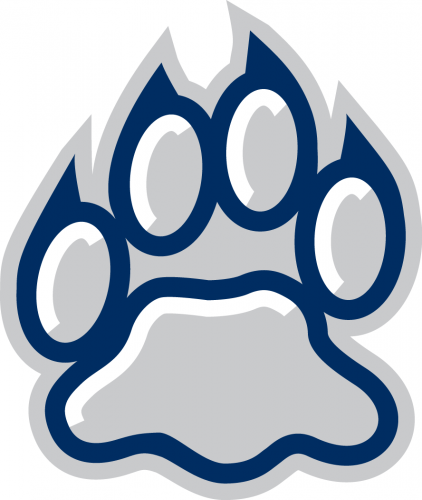 New Hampshire Wildcats 2000-Pres Alternate Logo 04 custom vinyl decal