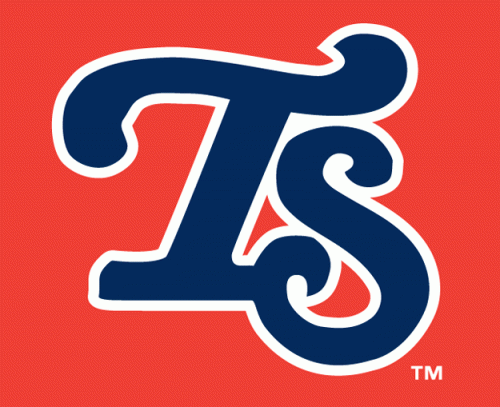 Tennessee Smokies 2003-2006 Cap Logo heat sticker