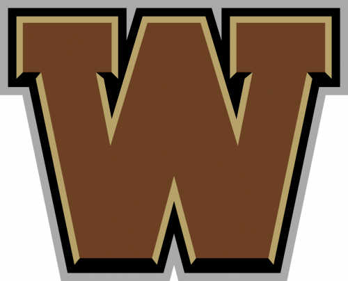 Western Michigan Broncos 2016-Pres Secondary Logo 02 heat sticker