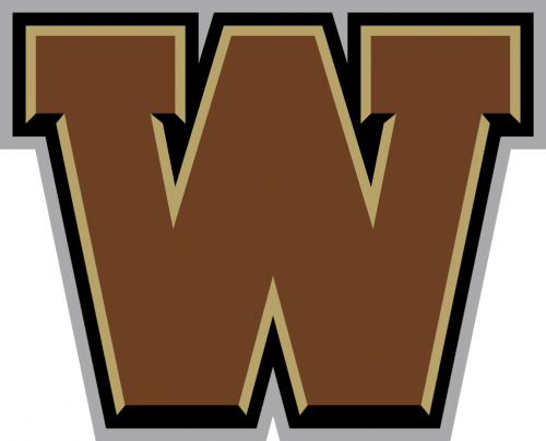 Western Michigan Broncos 2016-Pres Secondary Logo 02 custom vinyl decal