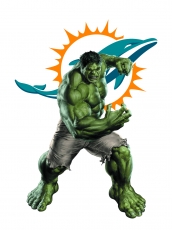 Miami Dolphins Hulk Logo heat sticker