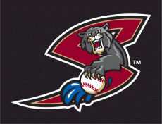 Sacramento River Cats 2000-2006 Cap Logo 4 heat sticker