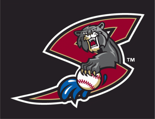 Sacramento River Cats 2000-2006 Cap Logo 4 heat sticker