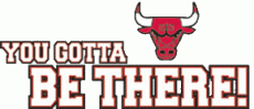 Chicago Bulls 2006 Misc Logo heat sticker