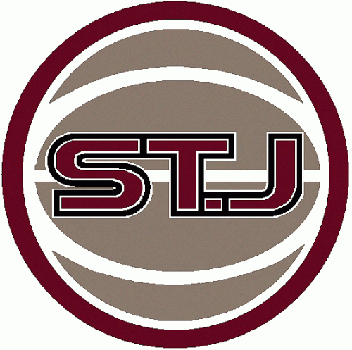 St.Johns RedStorm 2004-2006 Alternate Logo custom vinyl decal