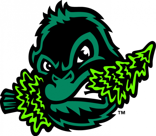 Eugene Emeralds 2013-Pres Alternate Logo heat sticker