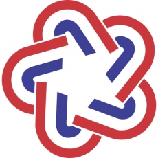 USA Logo 15 custom vinyl decal