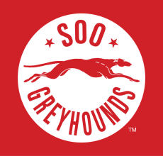 Sault Ste. Marie Greyhounds 2013 14-Pres Alternate Logo heat sticker