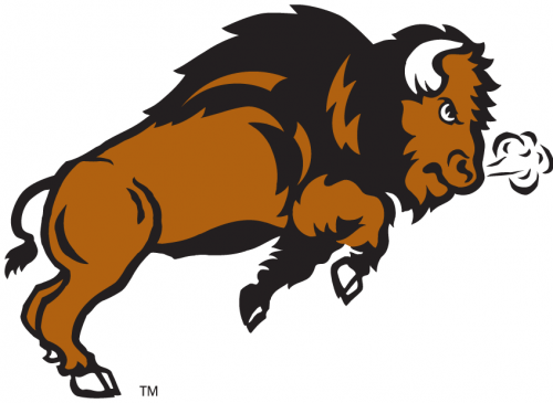 North Dakota State Bison 2005-2011 Secondary Logo 02 heat sticker