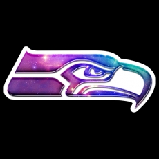 Galaxy Seattle Seahawks Logo heat sticker