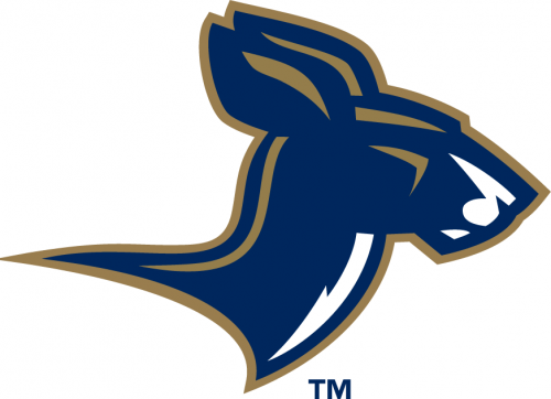 Akron Zips 2002-2007 Alternate Logo 02 custom vinyl decal