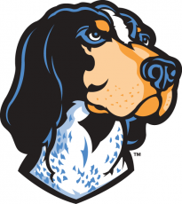 Tennessee Volunteers 2005-Pres Mascot Logo 02 custom vinyl decal