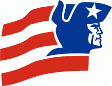 New England Patriots 1978 Unused Logo heat sticker