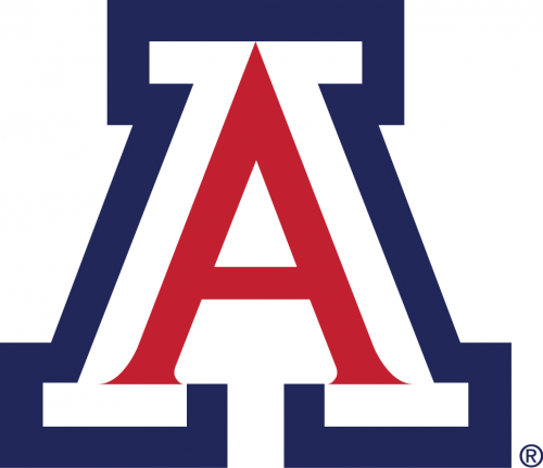 Arizona Wildcats 1990-Pres Primary Logo heat sticker