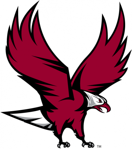 NCCU Eagles 2006-Pres Partial Logo iron on sticker [HTS-NCAA-NR-042 ...