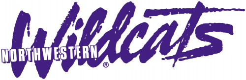 Northwestern Wildcats 1981-Pres Wordmark Logo 02 heat sticker