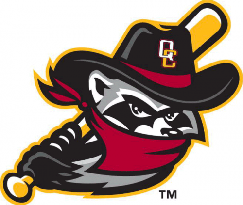 Quad Cities River Bandits 2014-Pres Alternate Logo 2 heat sticker