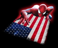 Spiderman Logo Heat Sticker