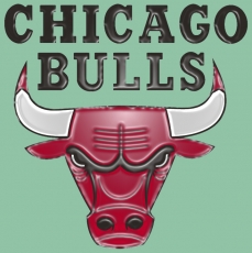 Chicago Bulls Plastic Effect Logo heat sticker