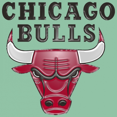 Chicago Bulls Plastic Effect Logo heat sticker