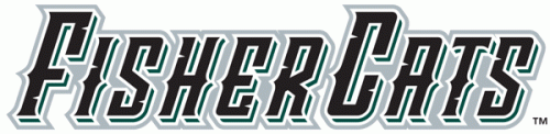 New Hampshire Fisher 2004-2007 Wordmark Logo heat sticker