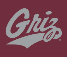 Montana Grizzlies 1996-Pres Alternate Logo 04 heat sticker