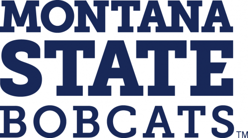 Montana State Bobcats 2013-Pres Wordmark Logo 01 custom vinyl decal