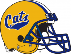 Montana State Bobcats 1982-1990 Helmet custom vinyl decal