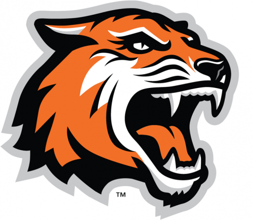 RIT Tigers 2004-Pres Alternate Logo heat sticker