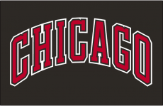 Chicago Bulls 1999 00-Pres Jersey Logo custom vinyl decal