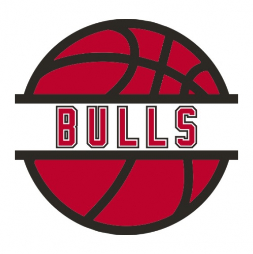 Basketball Chicago Bulls Logo heat sticker