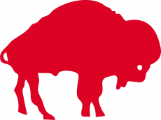 Buffalo Bills 1970-1973 Primary Logo heat sticker