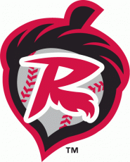Richmond Flying Squirrels 2010-Pres Alternate Logo heat sticker