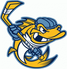 Toledo Walleye 2009 10-Pres Alternate Logo 2 custom vinyl decal