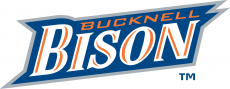 Bucknell Bison 2002-Pres Wordmark Logo heat sticker