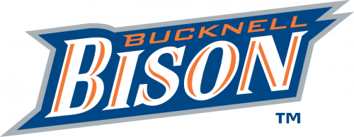 Bucknell Bison 2002-Pres Wordmark Logo custom vinyl decal
