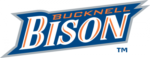 Bucknell Bison 2002-Pres Wordmark Logo heat sticker