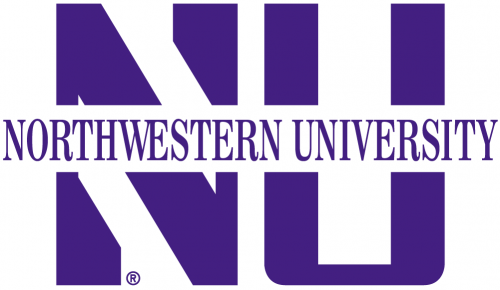 Northwestern Wildcats 1981-Pres Wordmark Logo 01 custom vinyl decal