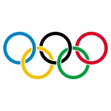 The Olympic Flag Logo custom vinyl decal