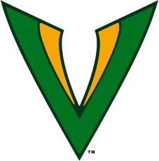 Tampa Bay Vipers 2020-Pres Primary Logo custom vinyl decal