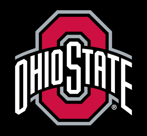 Ohio State Buckeyes 2013-Pres Alternate Logo 03 custom vinyl decal