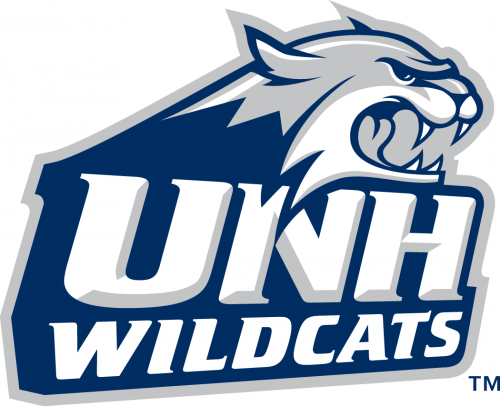 New Hampshire Wildcats 2000-Pres Primary Logo heat sticker